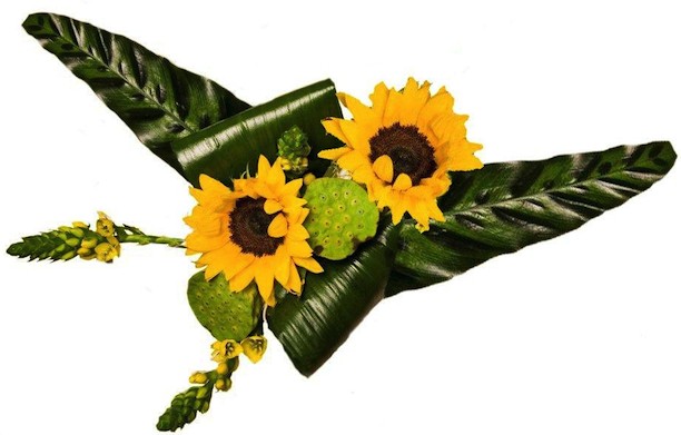 „Słonecznikowy duet”