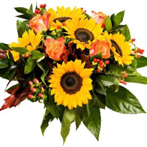 Promienie jesiennego słońca