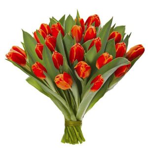 Bukiet z 25 pomarańczowych tulipanów