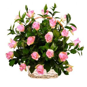 Kosz z 20 różowych róż