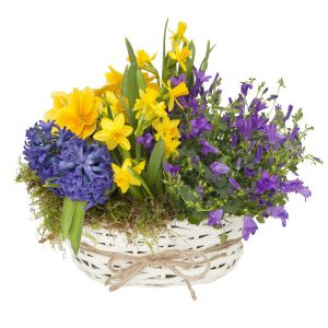 Koszyk Wielkanocny "kolorowy"