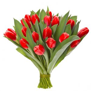 20 czerwonych tulipanów