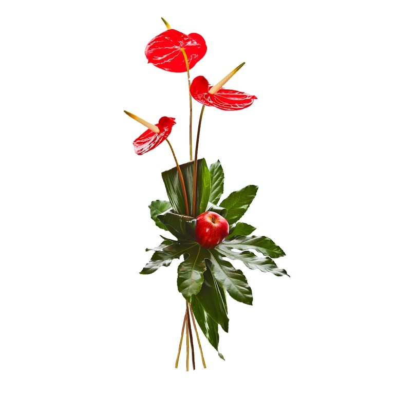 Elegancja Z Jabłkiem