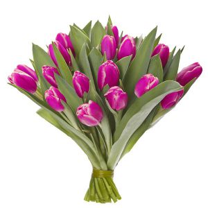 Tulipany na Dzień Kobiet