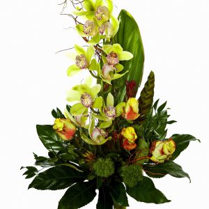Storczyk "Cymbidium z egzotycznymi dodatkami"