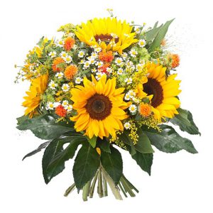 Bukiet ,,W promieniach słońca "