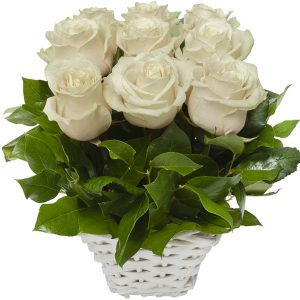 ,,Róże kremowe online"