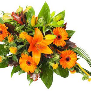 ,,Ognisty temperament"