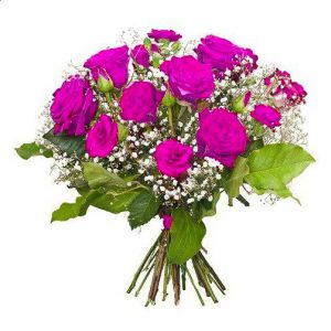 ,,Amarantowe róże''