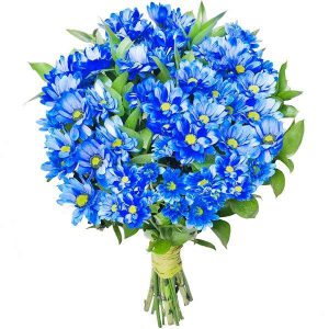 Bukiet ,,Niebieskie margaretki
