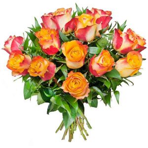 ,,Herbaciane róże''