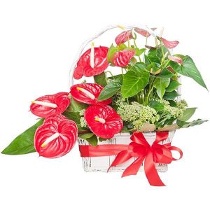 Kosz ,,Sukcesów i Szczęścia''