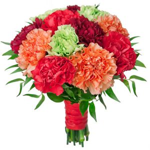 ,,Kolorowe goździki”