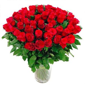 ,,50 czerwonych róż''