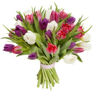 Bukiet z 35 Kolorowych tulipanów