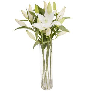Białe Lilie w szkle