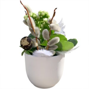 Wiosenne Kalanchoe w doniczce